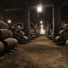 Picture of the wine cellar where they rest all the wines inside barrels