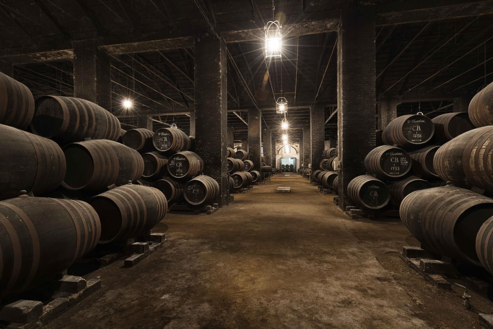 Picture of the wine cellar where they rest all the wines inside barrels